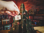 Productafbeelding Harry Potter - Kerst in Zweinstein - Het Grote Adventskalenderboek
