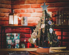 Productafbeelding Harry Potter - Kerst in Zweinstein - Het Grote Adventskalenderboek