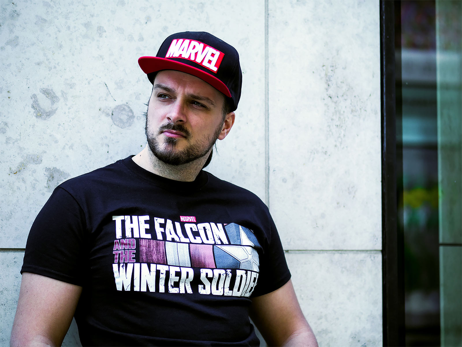 Productafbeelding The Falcon and the Winter Soldier - Logo T-Shirt zwart