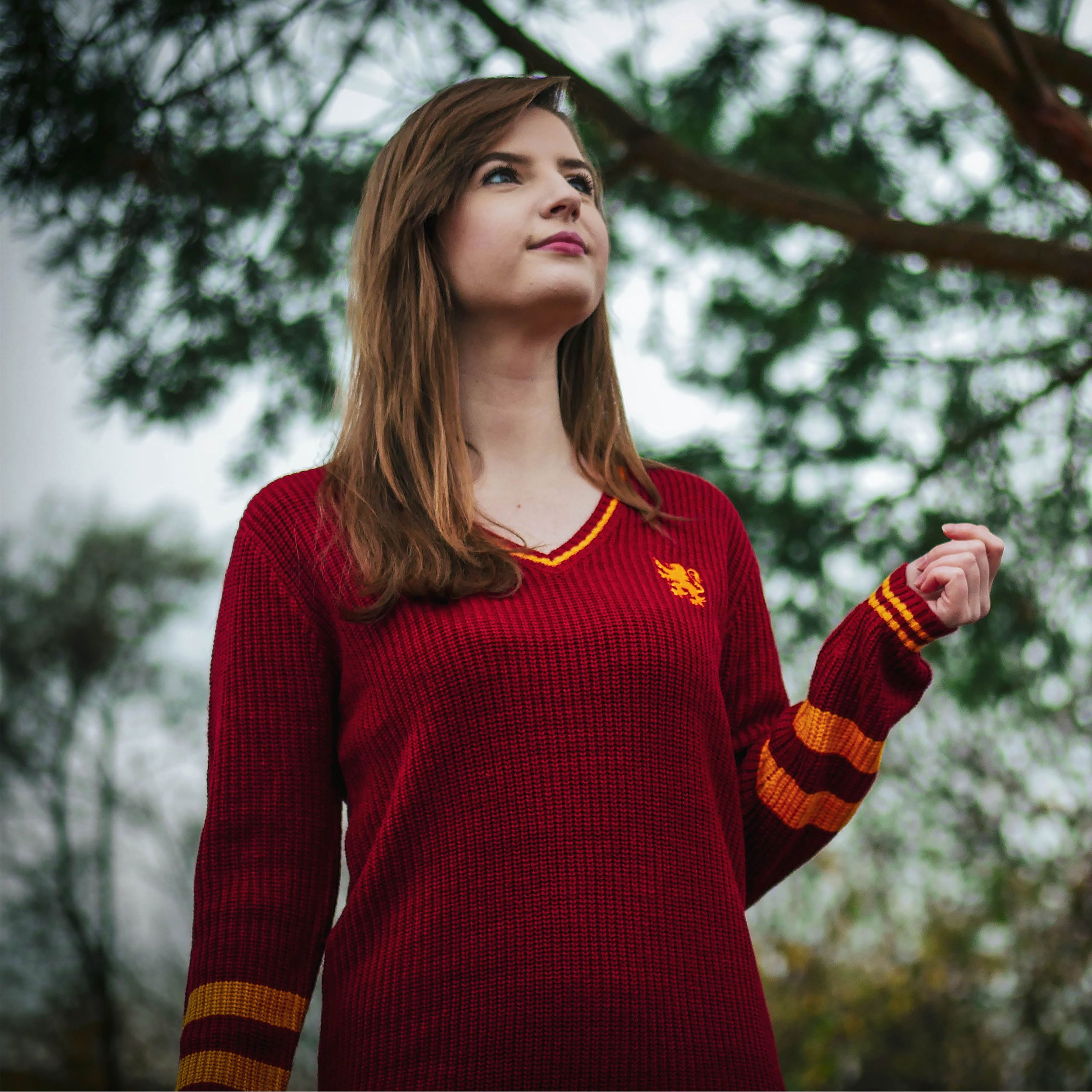Productafbeelding Harry Potter - Griffoendor Gebreide Jurk Rood