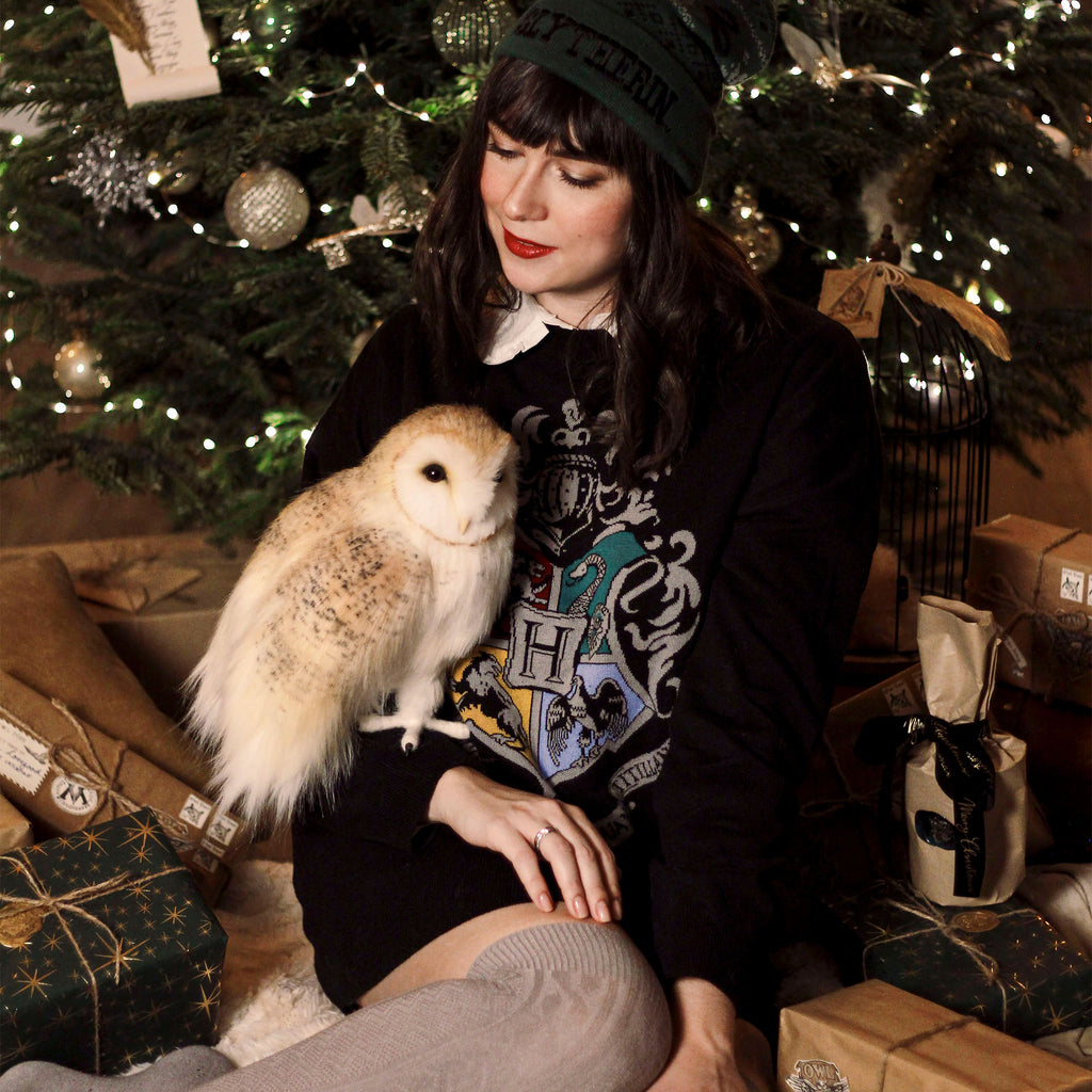 Productafbeelding Harry Potter - Hogwarts Wapen Oversize Sweater zwart