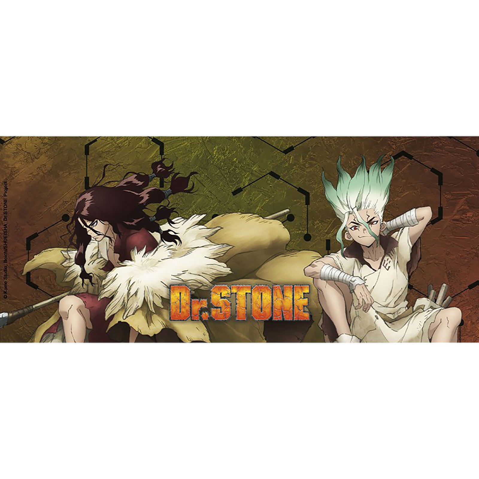 Productafbeelding Dr. Stone - Tsukasa & Senku Mok