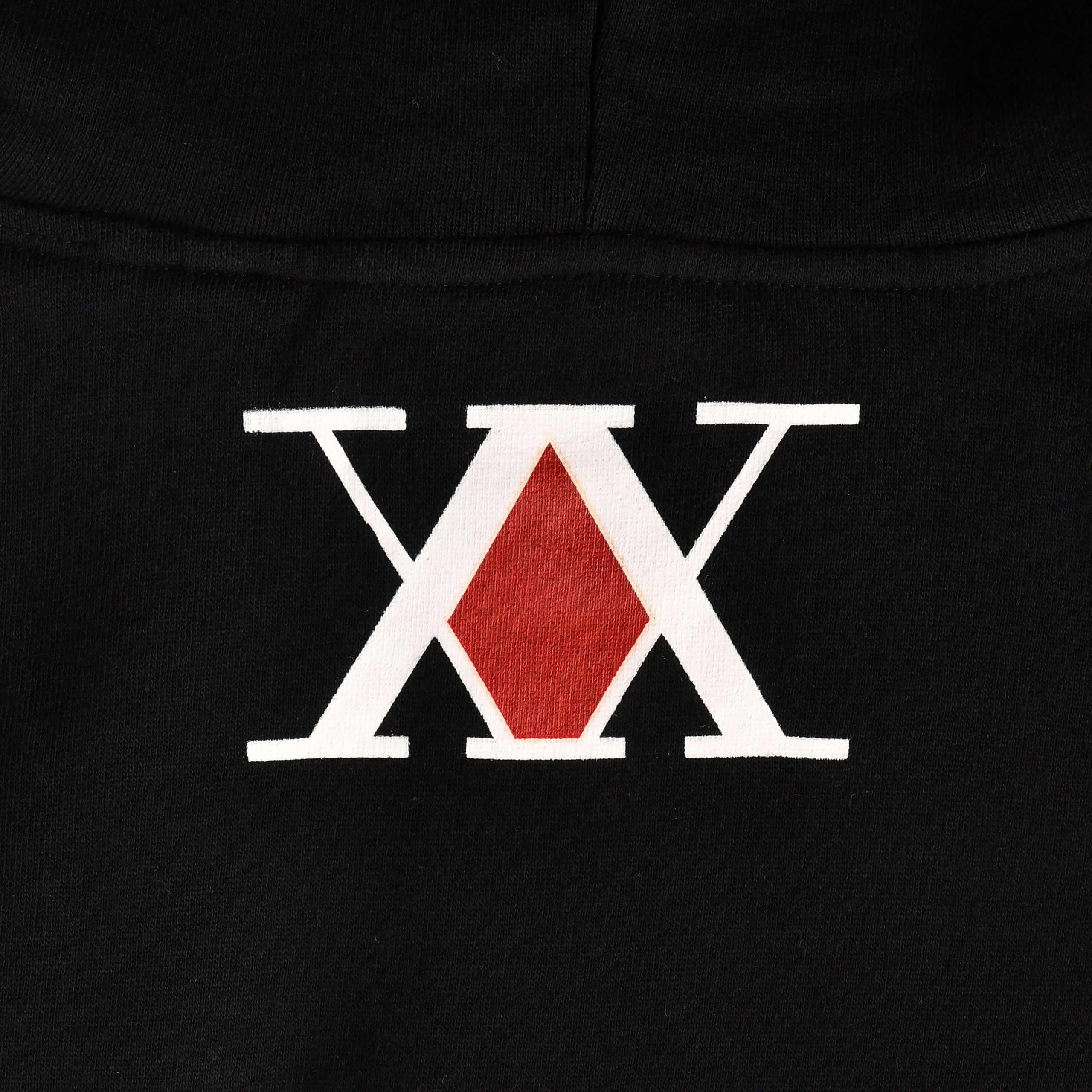 Productafbeelding Hunter x Hunter - Gon & Group Hoodie zwart