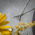 Productafbeelding Harry Potter - Deathly Hallows Hanger met Ketting