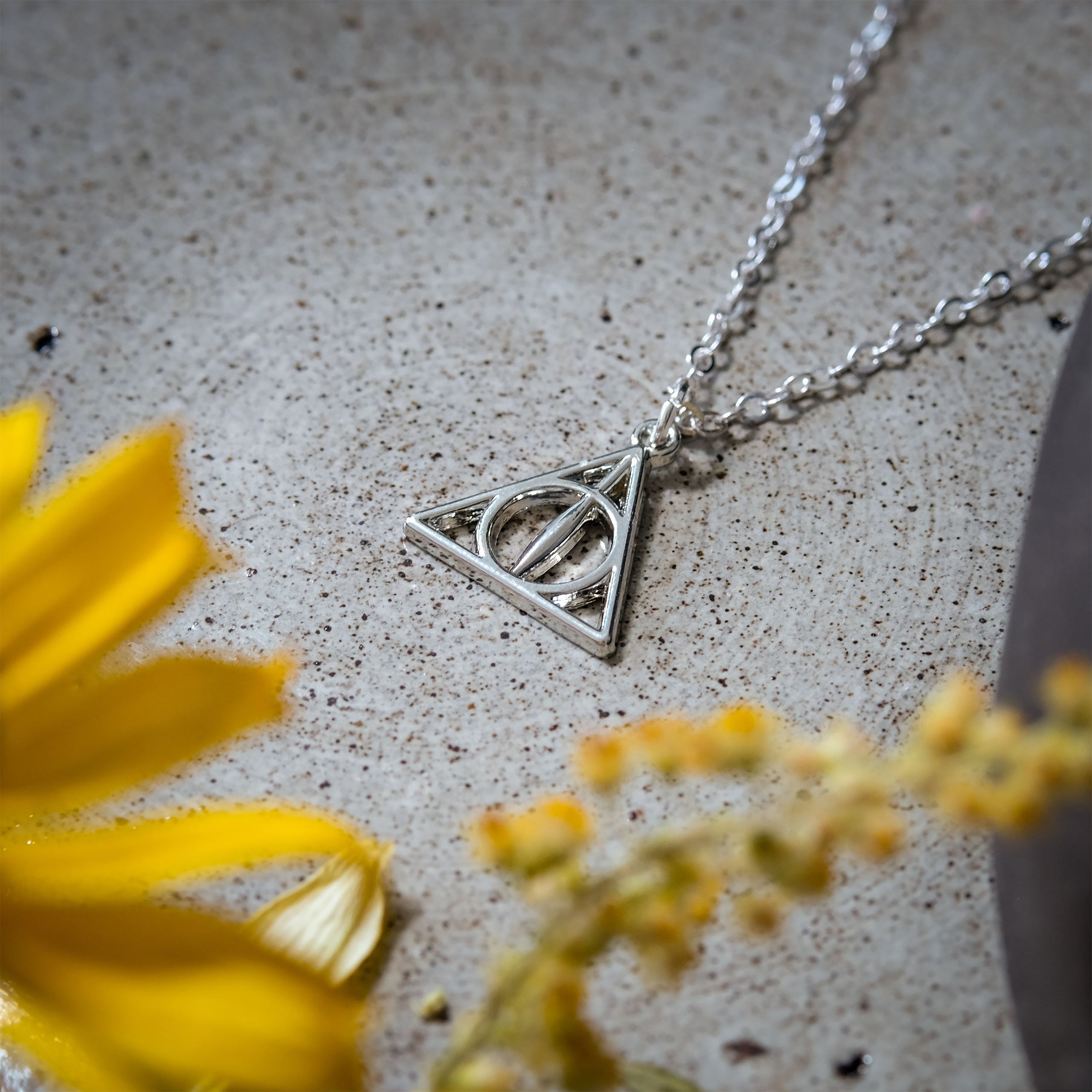Productafbeelding Harry Potter - Deathly Hallows Hanger met Ketting