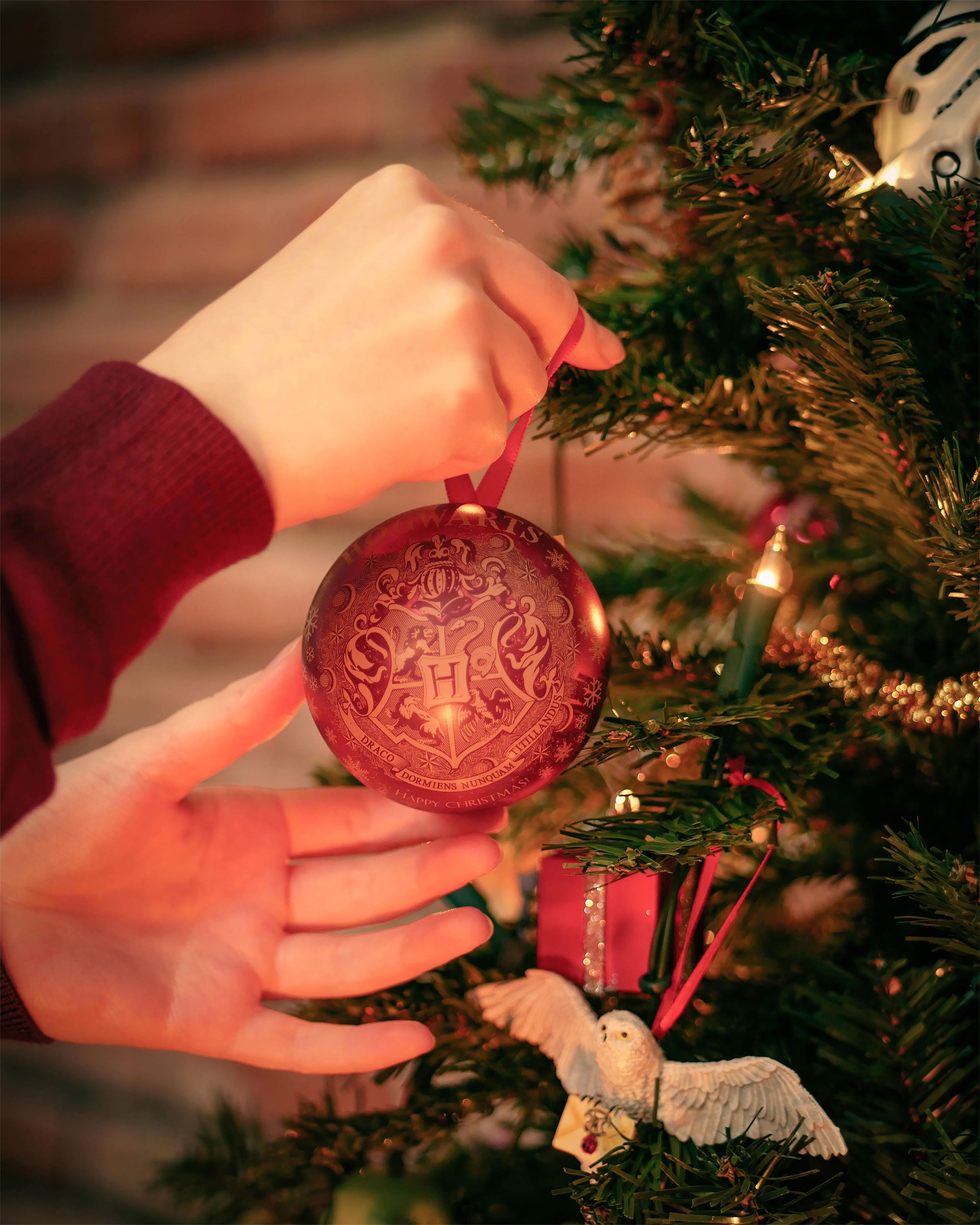 Productafbeelding Harry Potter - Hogwarts Wapen Kerstbal met Snaai Ketting