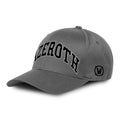 Productafbeelding World of Warcraft - Team Azeroth Snapback Cap grijs