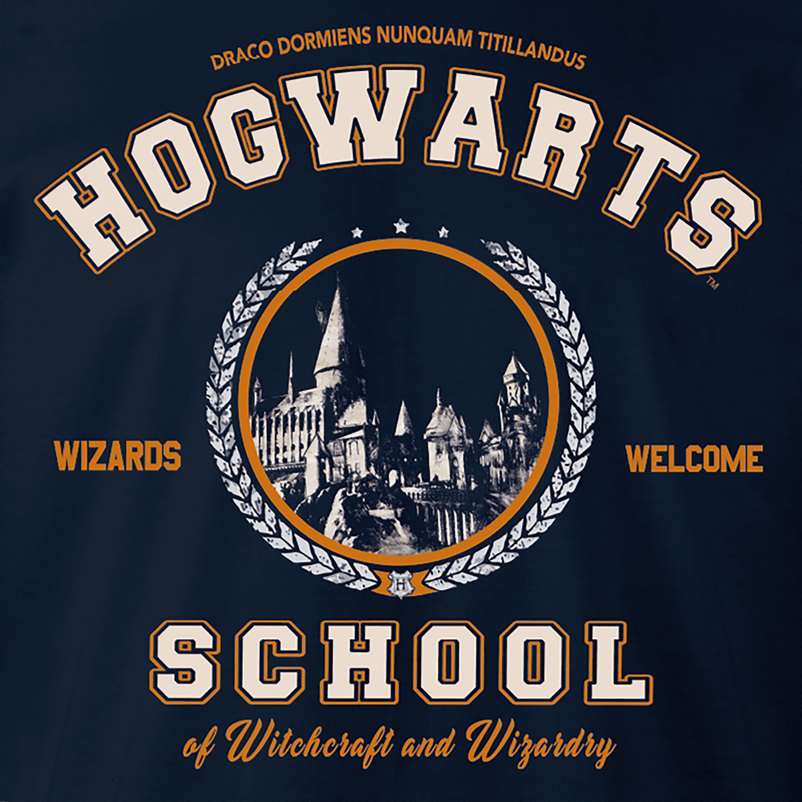 Productafbeelding Harry Potter - Hogwarts School Hoodie Blauw