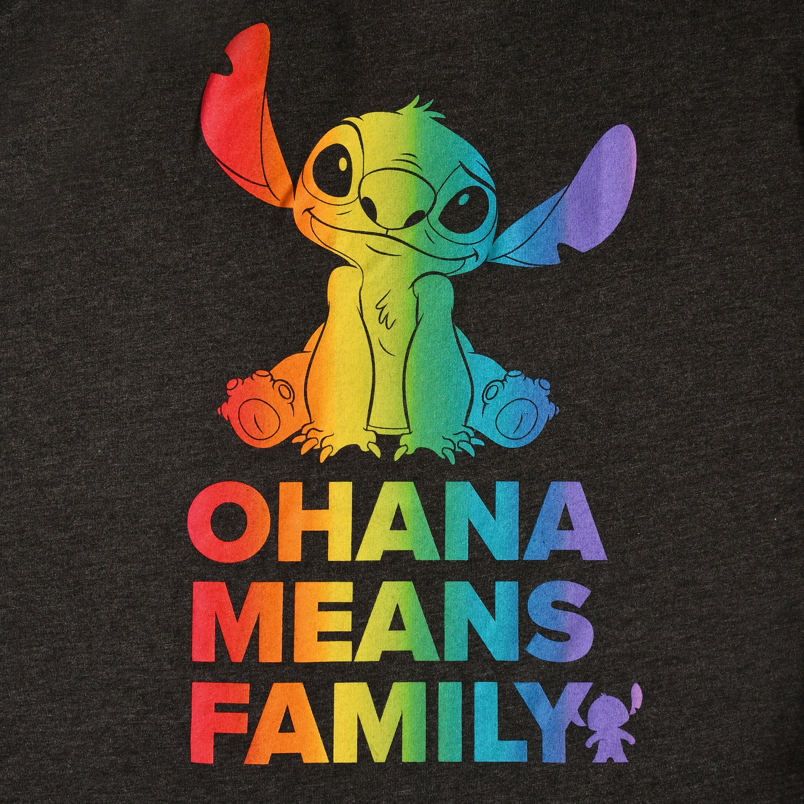 Productafbeelding Lilo & Stitch - Ohana Rainbow Pride Dames Loose Fit T-Shirt