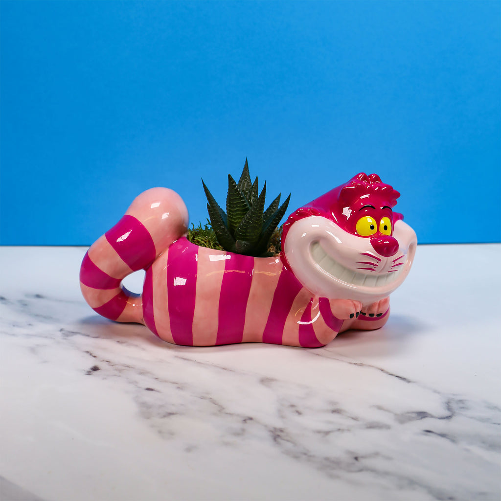 Productafbeelding Disney's Alice in Wonderland - Cheshire Cat Bloempot
