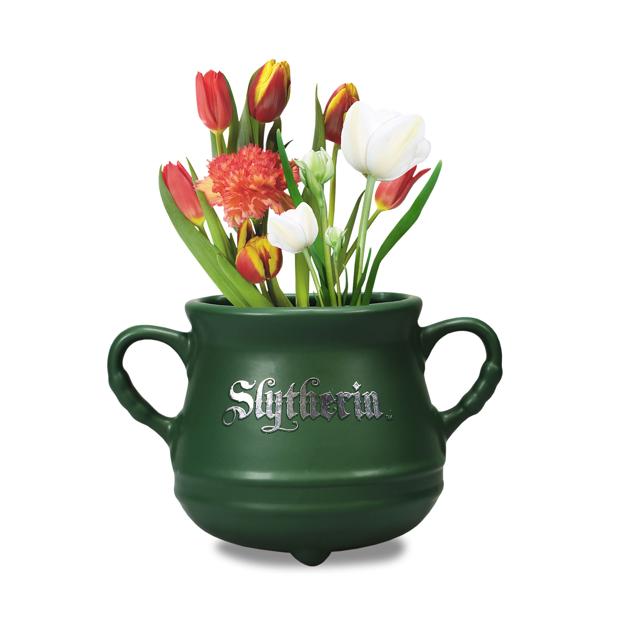 Productafbeelding Harry Potter - Slytherin Vaas