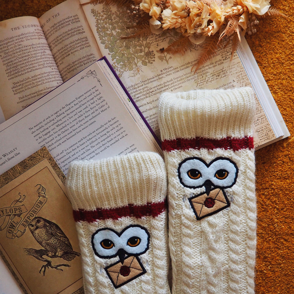 Productafbeelding Harry Potter - Hedwig Sokken met Teddybont