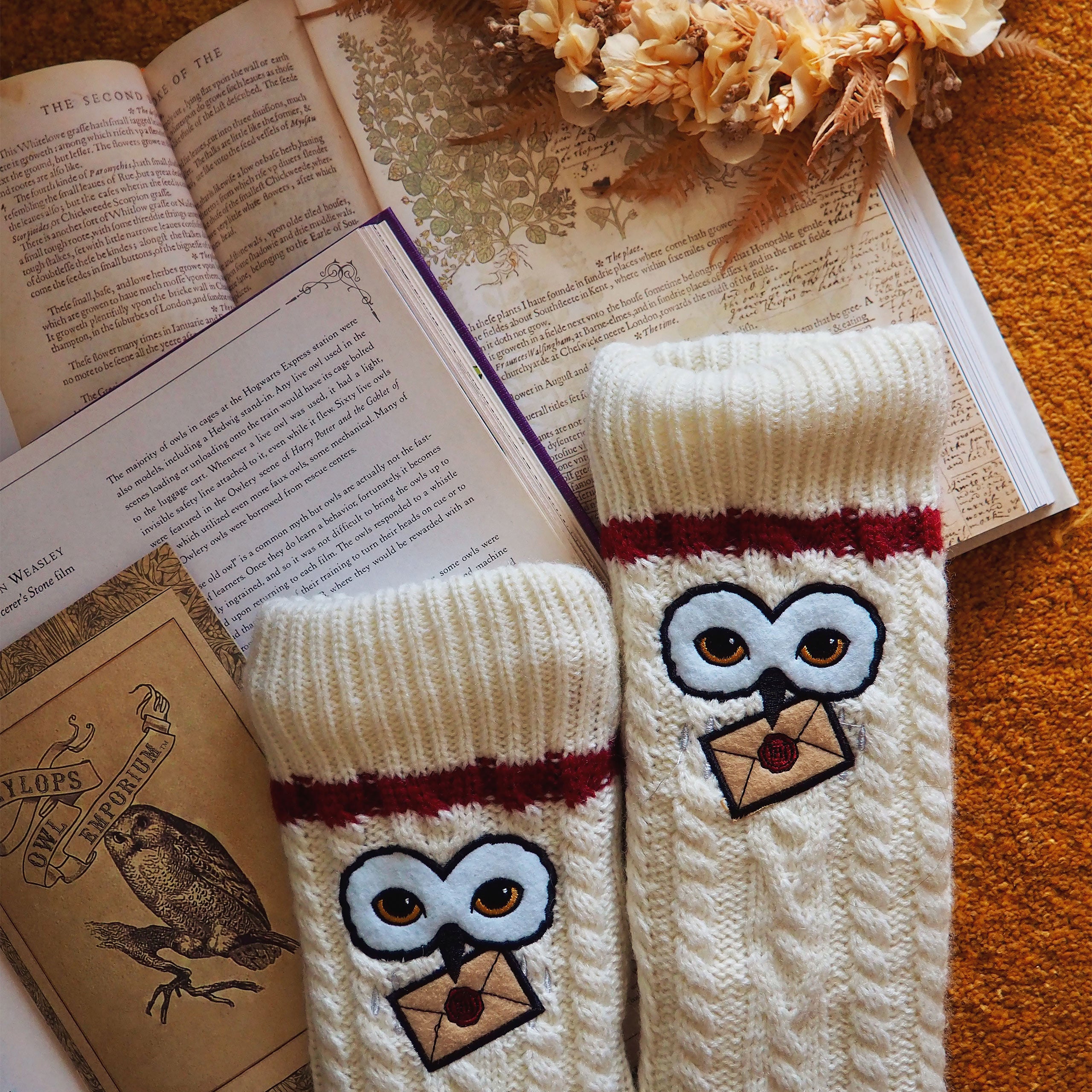 Productafbeelding Harry Potter - Hedwig Sokken met Teddybont
