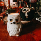 Productafbeelding Hedwig Theelichthouder - Harry Potter