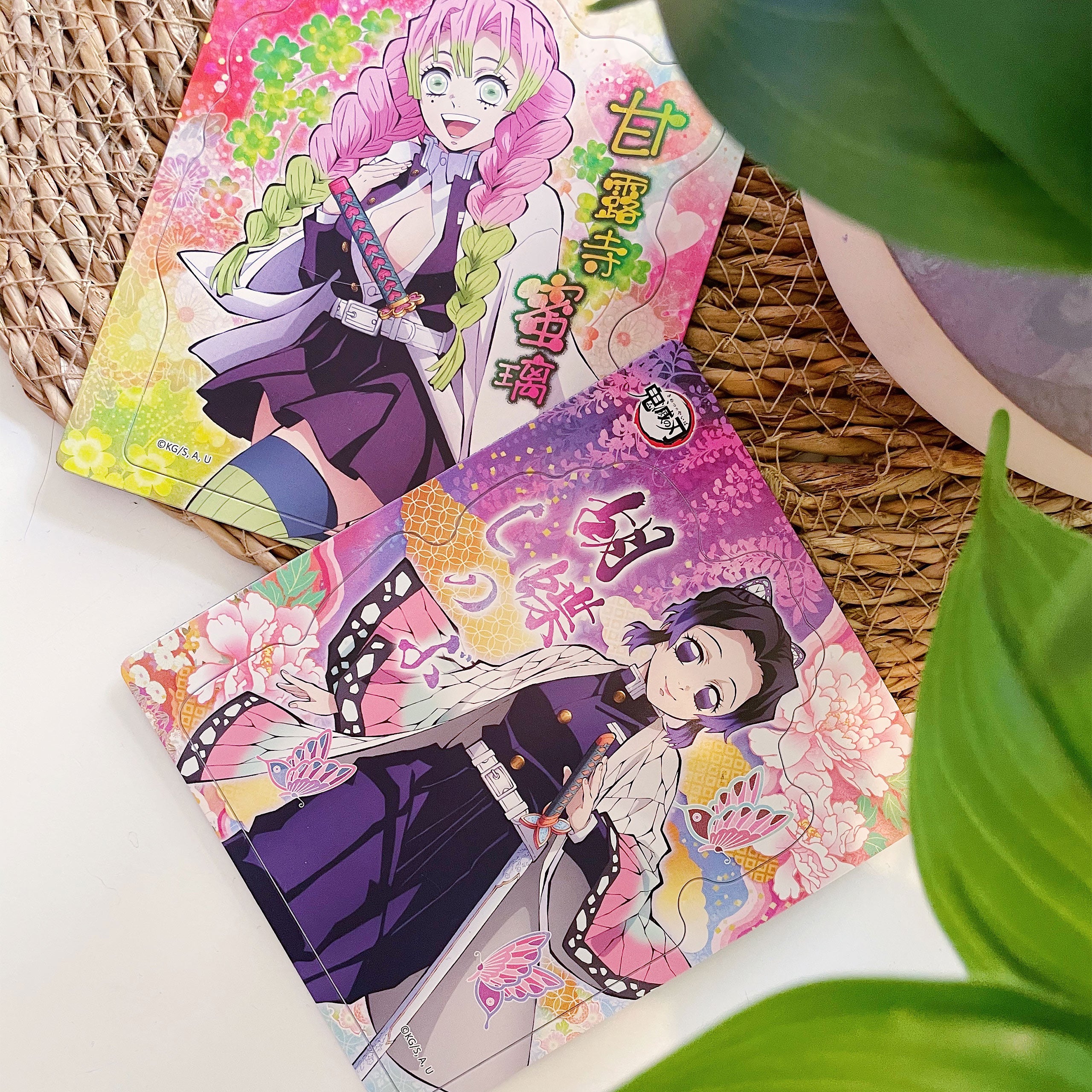 Productafbeelding Demon Slayer - Mystery Magnet