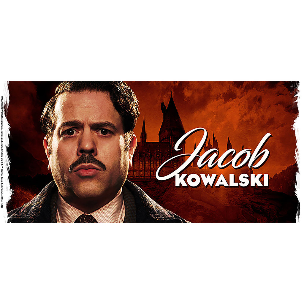 Productafbeelding Jacob Beker - Fantastic Beasts Dumbledore's Geheimen