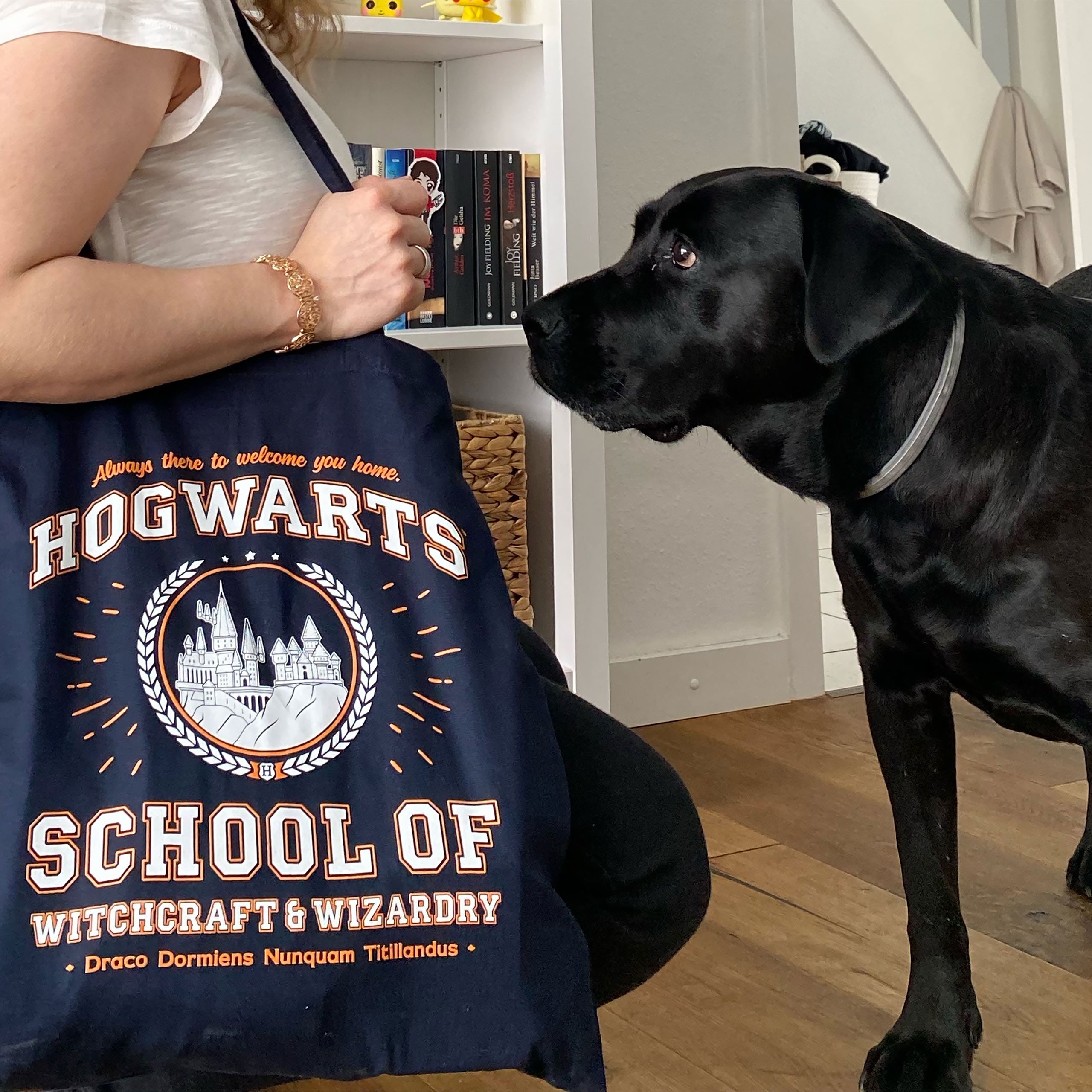 Product image Hogwarts School Jute Bag Blue - Harry Potter