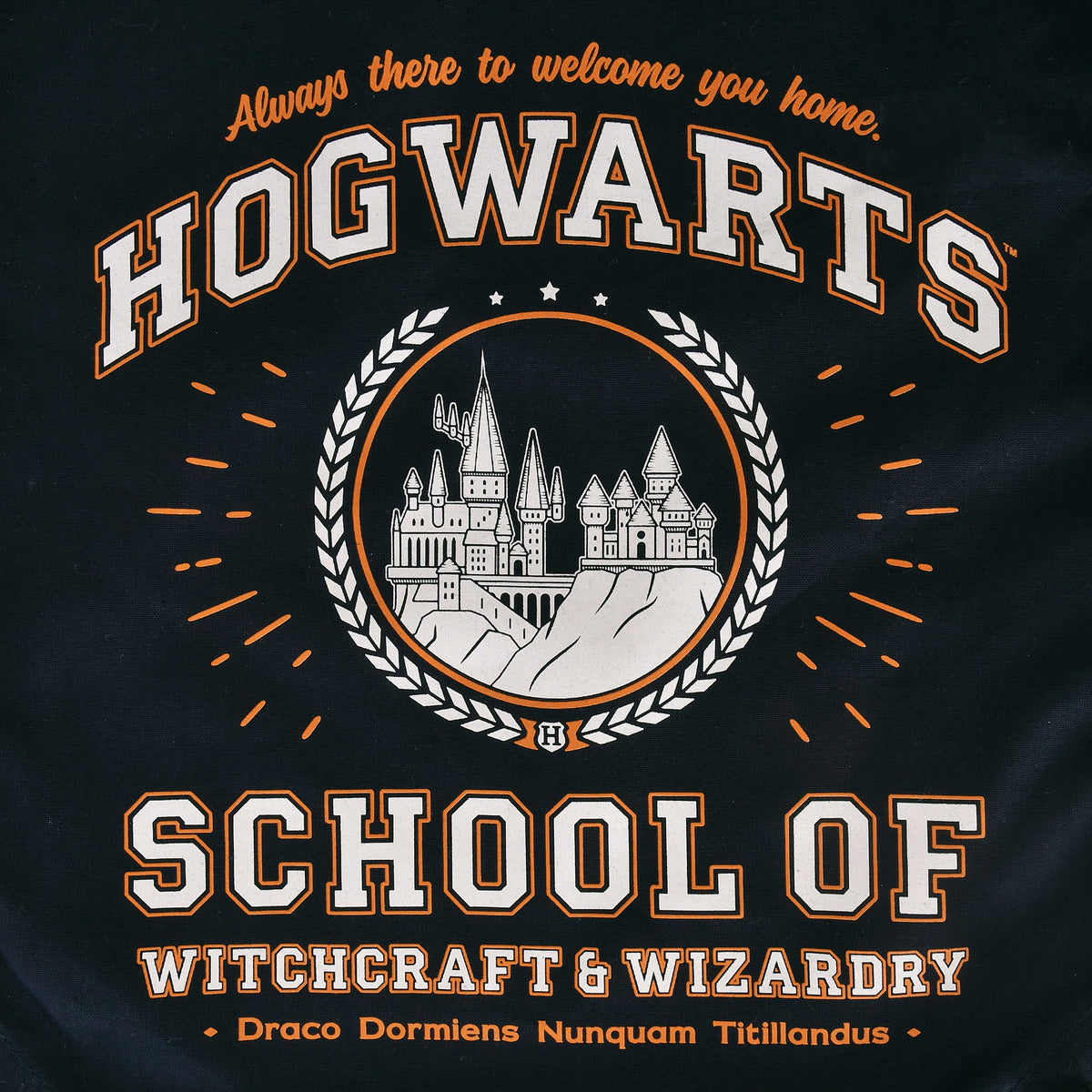 Productafbeelding Hogwarts School Sporttas blauw - Harry Potter