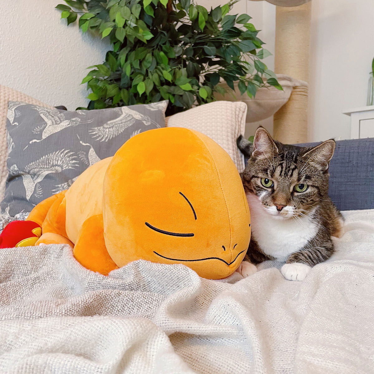 Productafbeelding Pokemon - Slapende Charmander Pluche Figuur