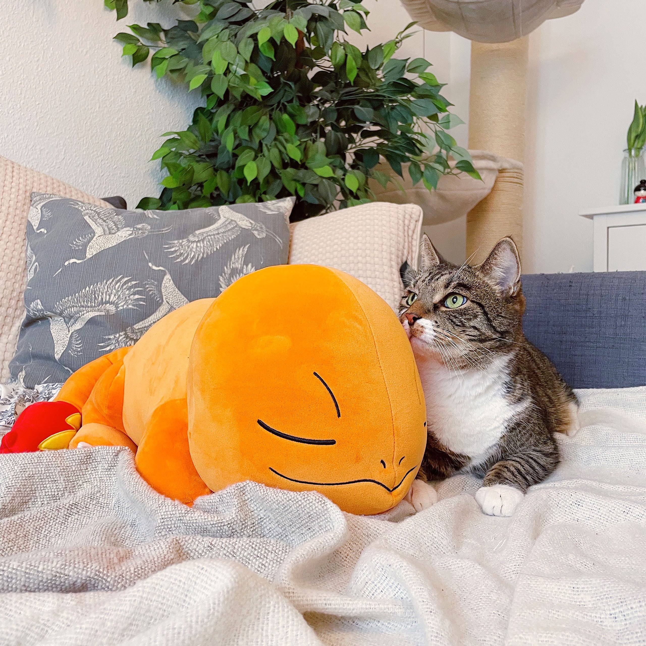 Productafbeelding Pokemon - Slapende Charmander Pluche Figuur
