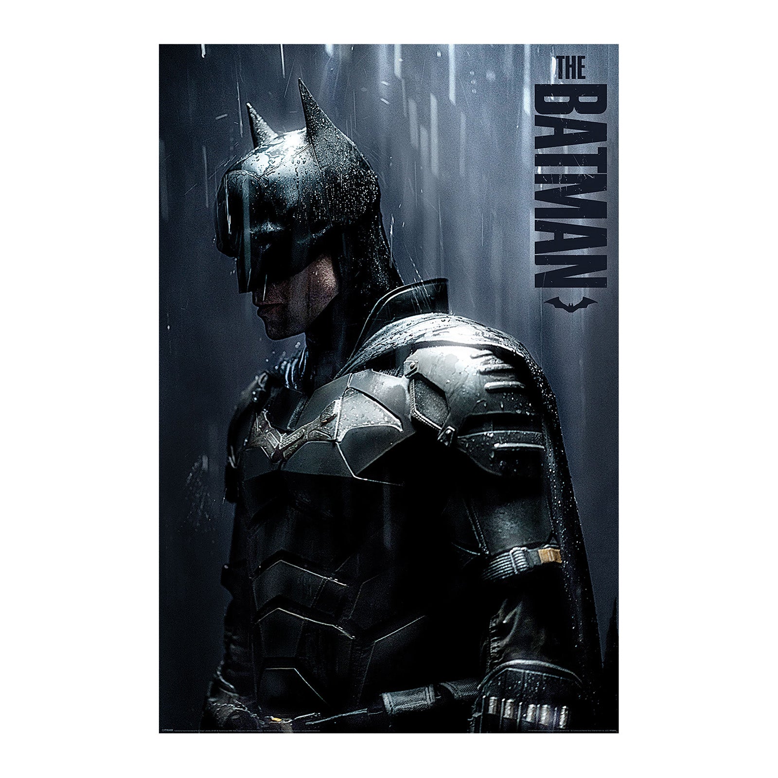 Productafbeelding The Batman - Downpour Maxi Poster