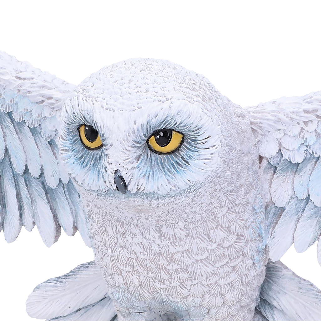 Productafbeelding Hedwig Wand Sculptuur - Harry Potter
