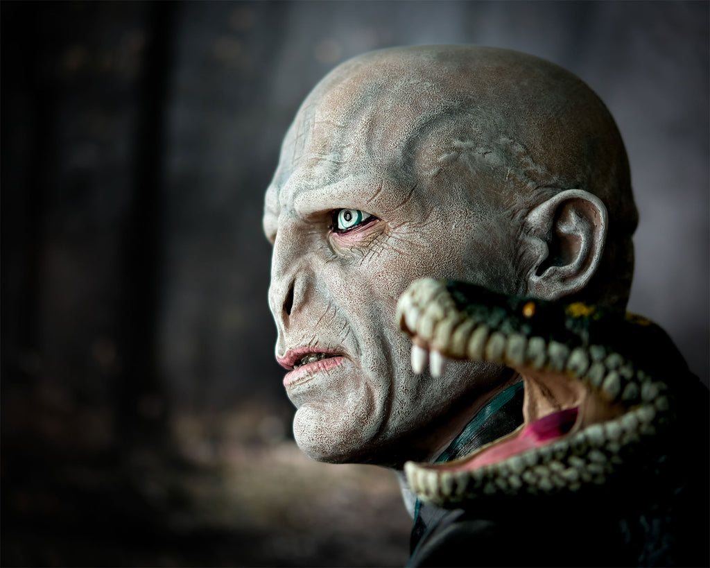 Productafbeelding Lord Voldemort met Nagini Buste - Harry Potter