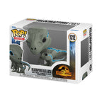 Productafbeelding Jurassic World - Velociraptors Blue en Beta Funko Pop Figuur