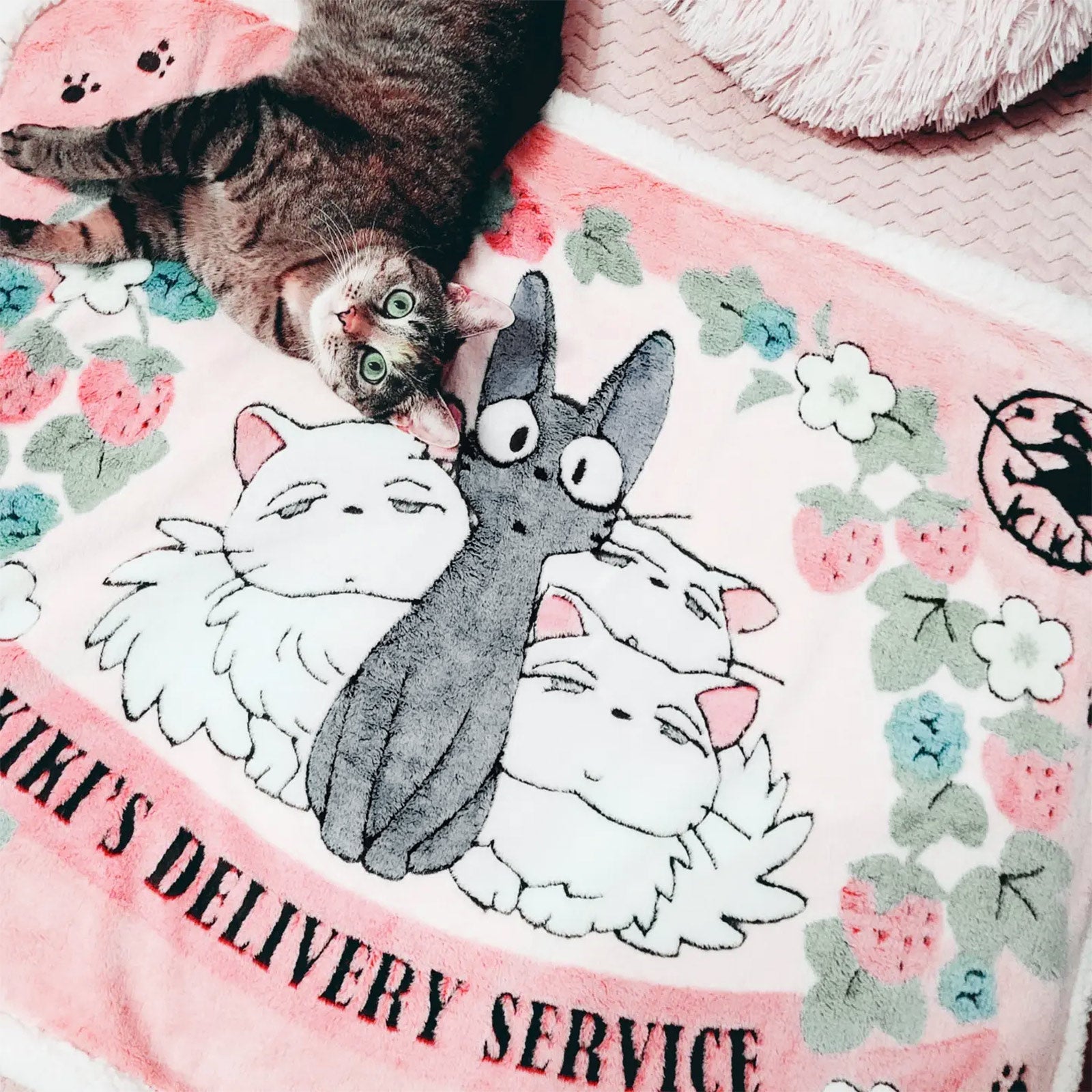 Productafbeelding Kiki's Bezorgservice - Jiji Deken