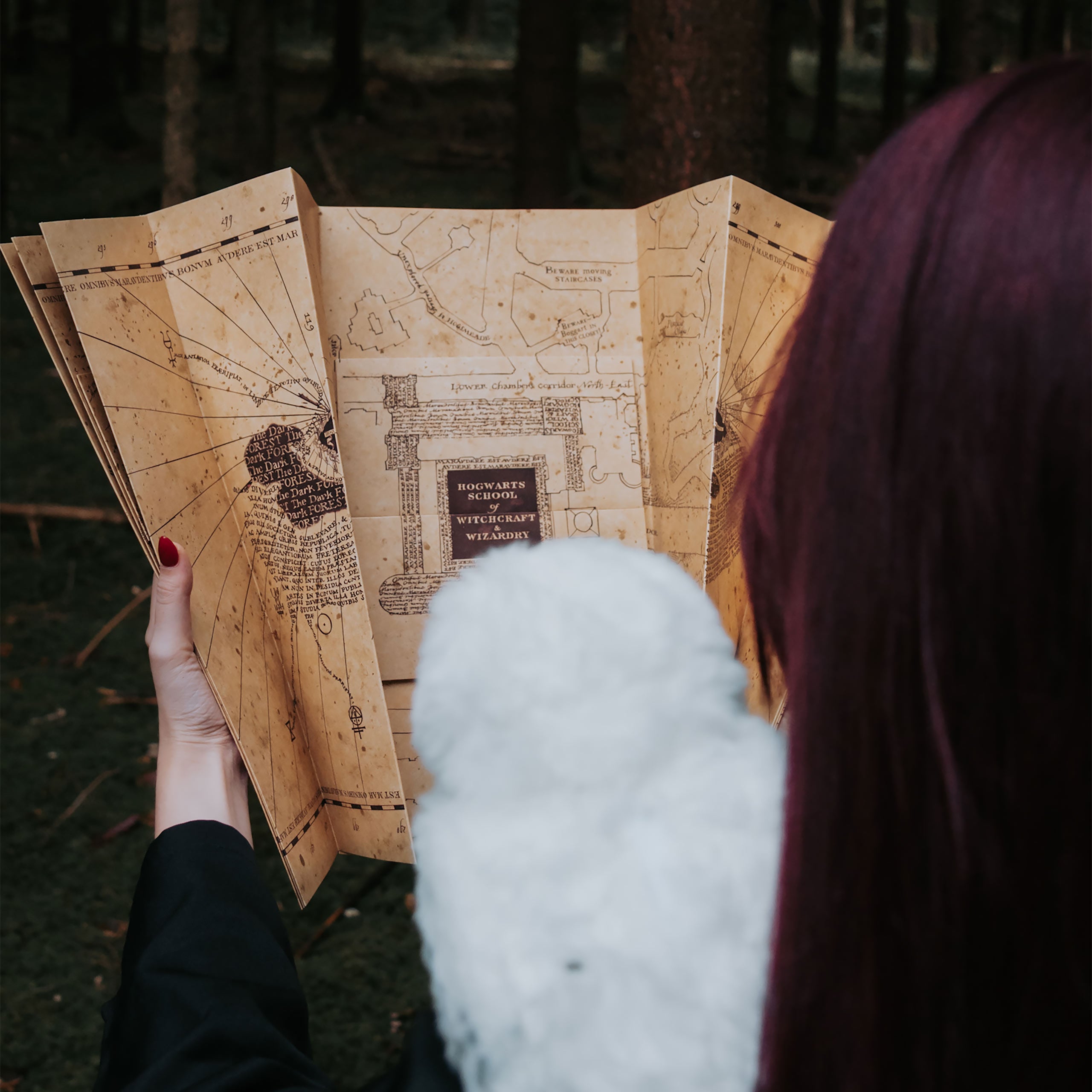 Productafbeelding Marauder's Map - Harry Potter