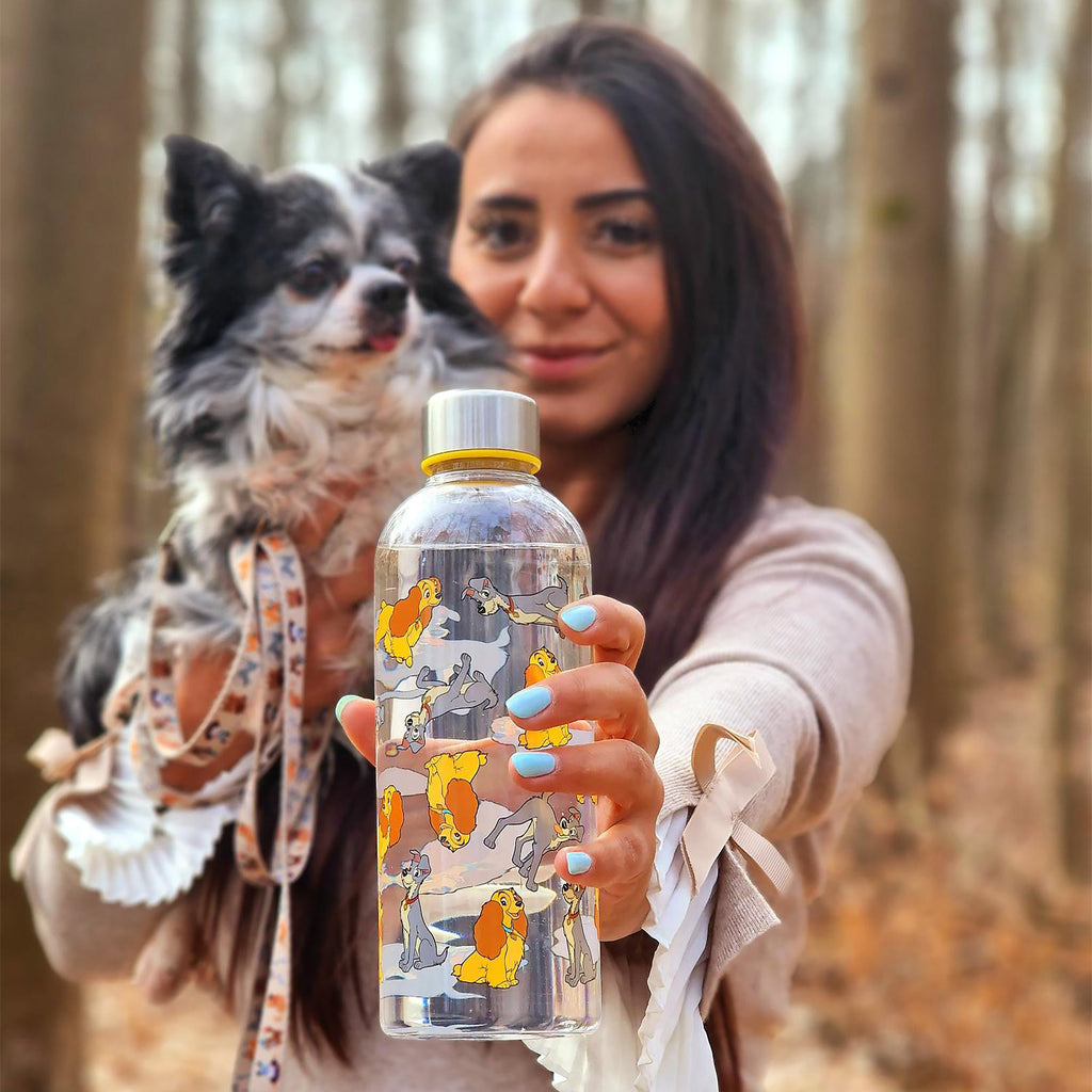 Productafbeelding Disney - Lady en de Vagebond Waterfles