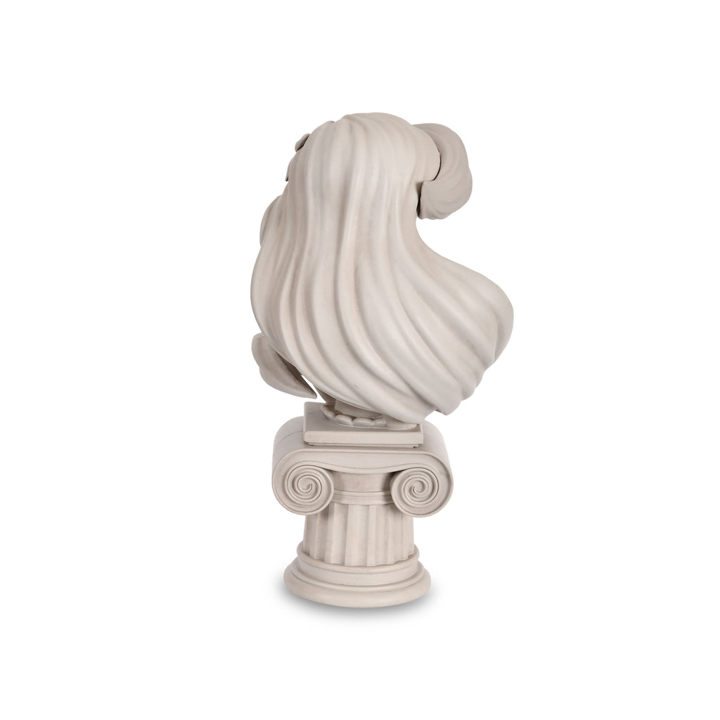 Productafbeelding Ariël-De Kleine Zeemeermin - Disney Princess Buste