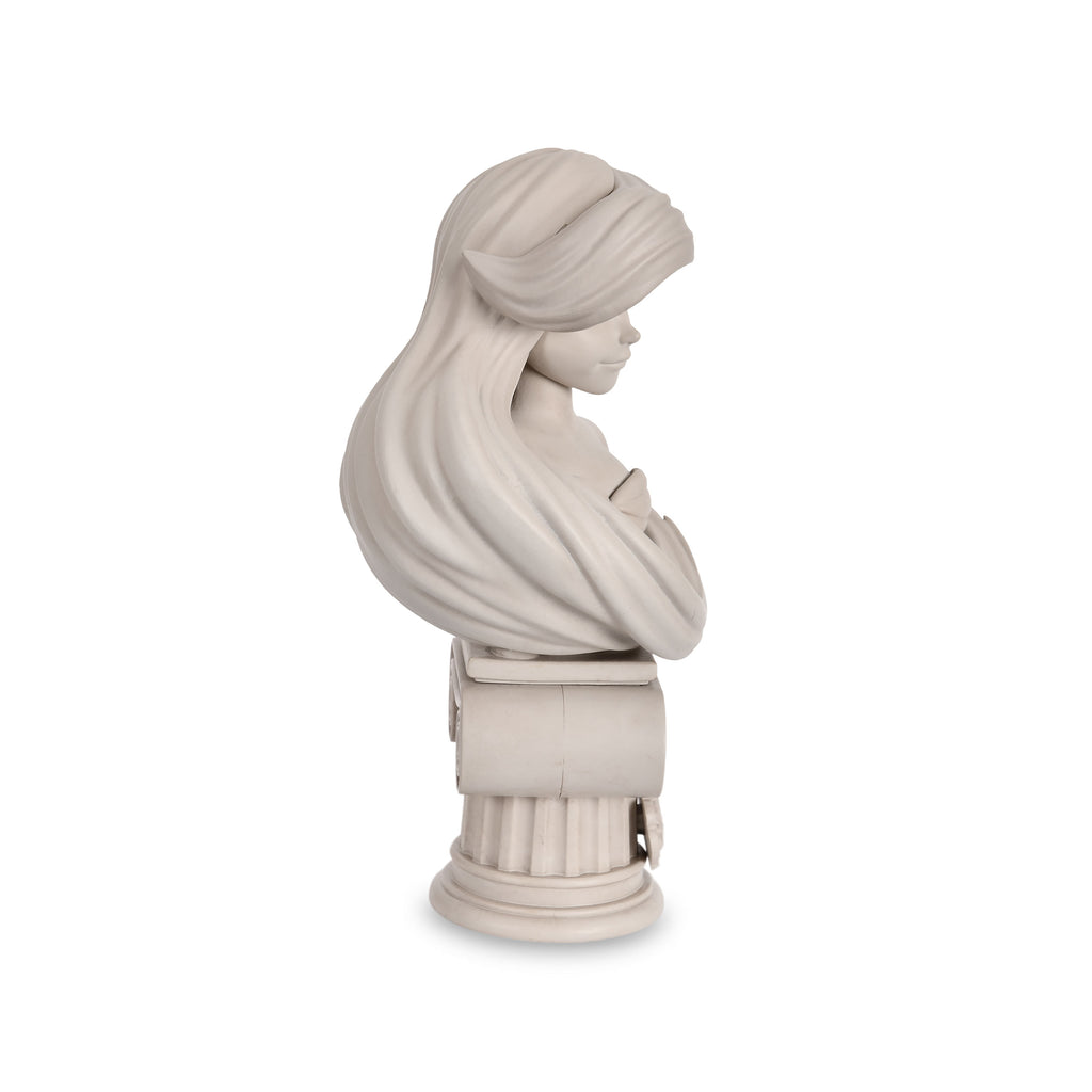 Productafbeelding Ariël-De Kleine Zeemeermin - Disney Princess Buste