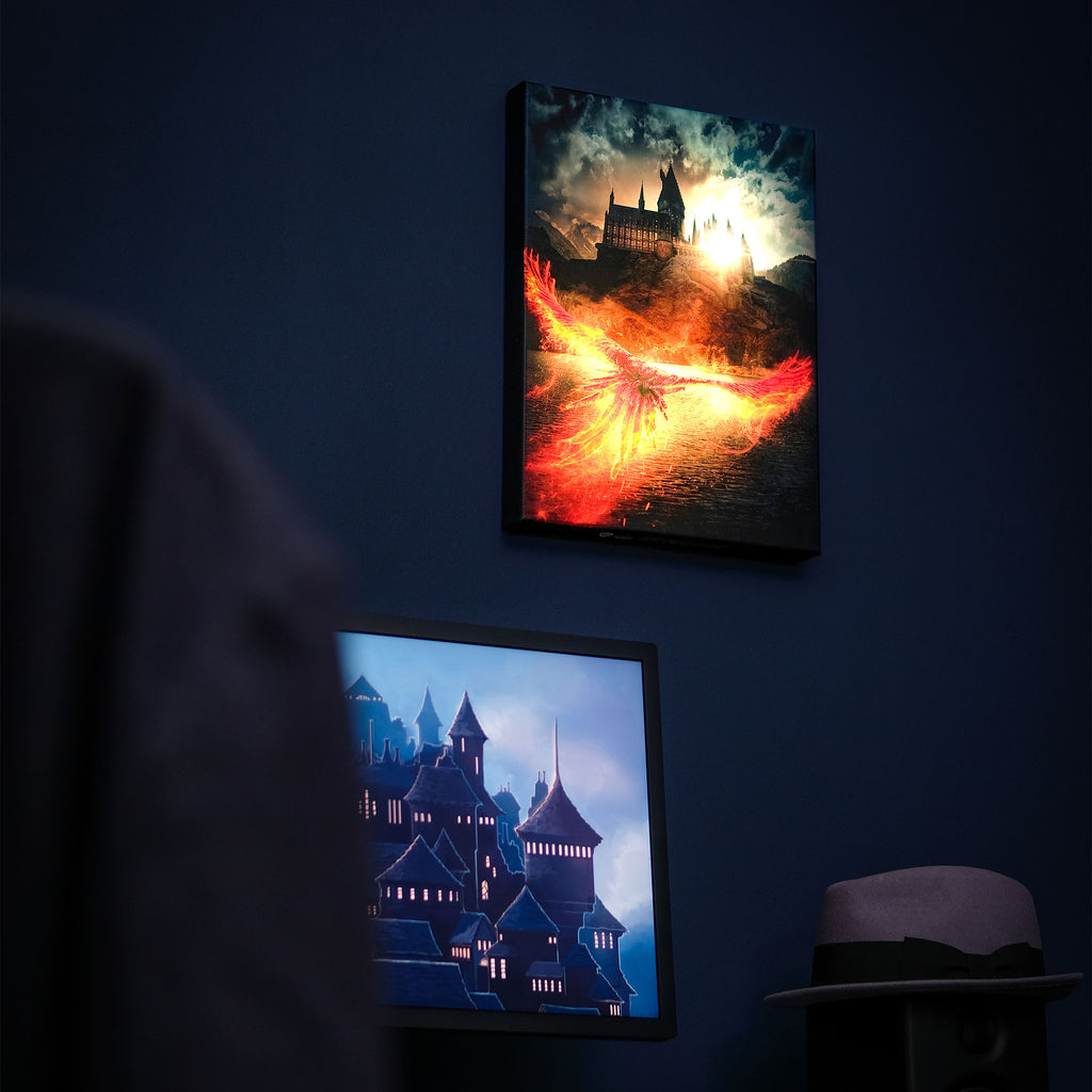 Product image Dumbledore's Secrets Wall Art with Light - Harry Potter