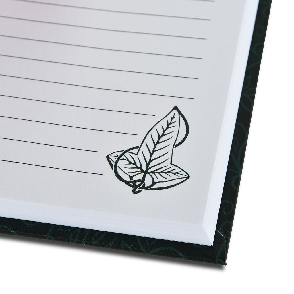 Productafbeelding Heer der Ringen - De ene ring cadeaubox