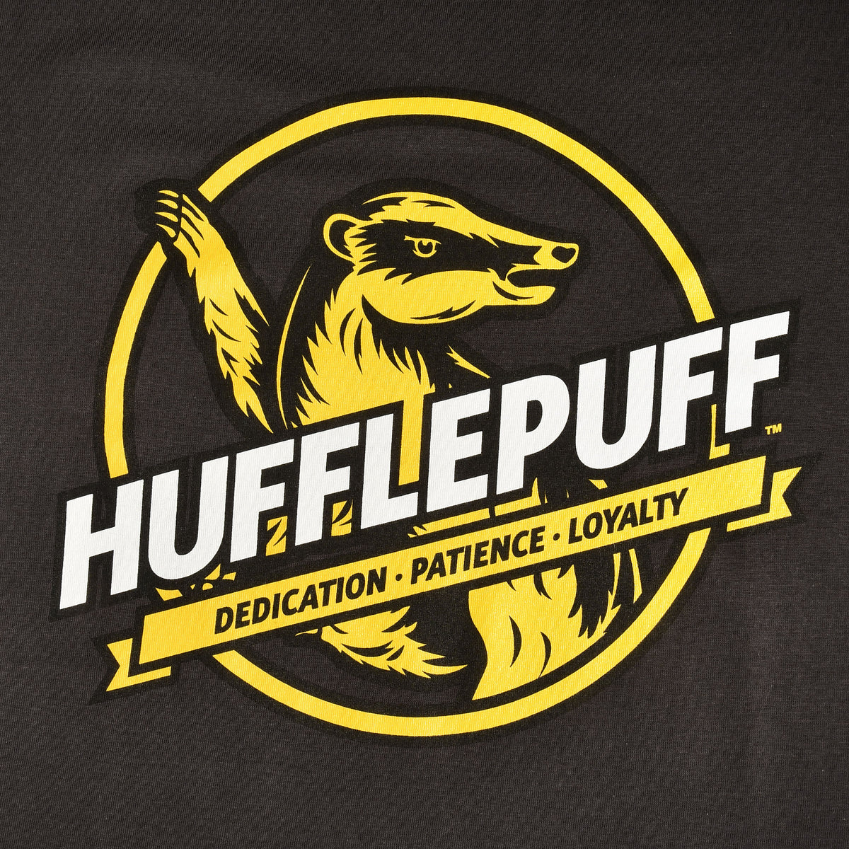 Product image Hufflepuff House Values T-Shirt Grey - Harry Potter
