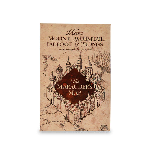 Productafbeelding Harry Potter - Sluipwegwijzer Magneet