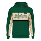Productafbeelding Harry Potter - Team Zwadderich Block Hoodie