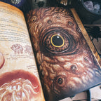 Productafbeelding Het Necronomnomnom - Riten en Recepten