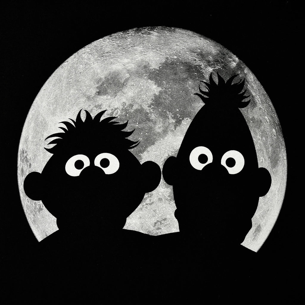 Productafbeelding Sesamstraat - Ernie & Bert Moonnight T-shirt zwart