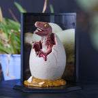 Productafbeelding Jurassic Park - Baby Velociraptor Ei Diorama Figuur