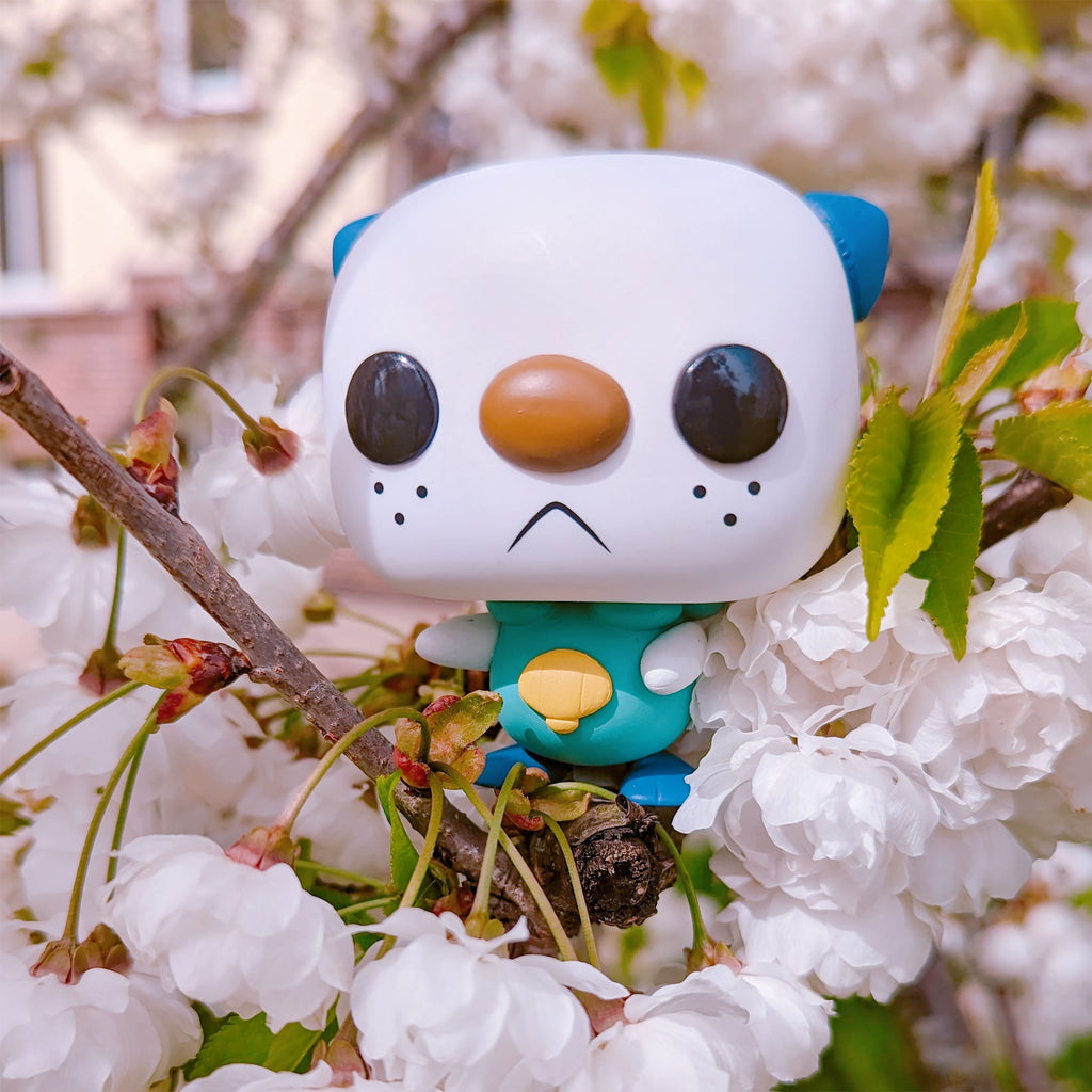 Productafbeelding Pokemon - Oshawott Funko Pop Figuur