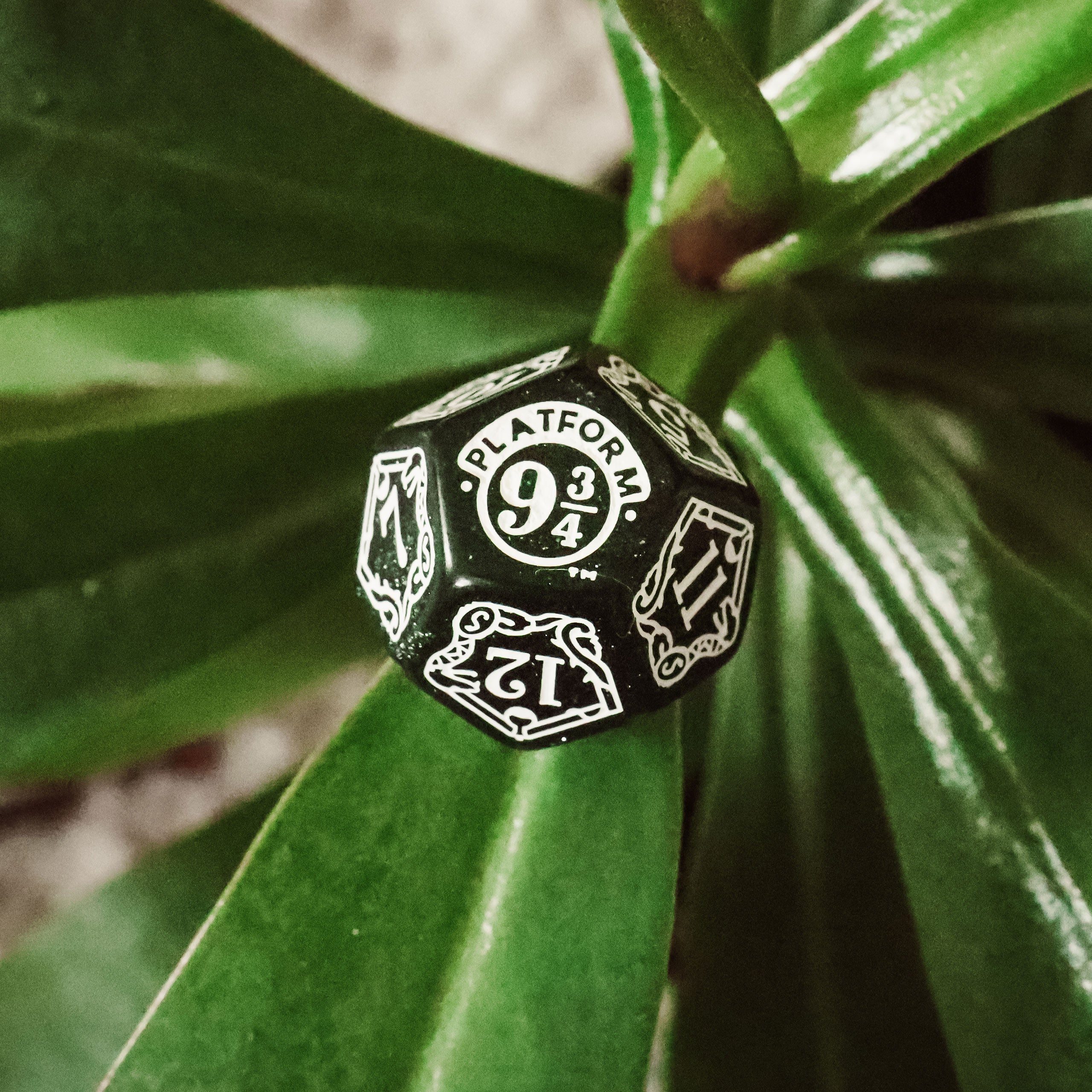 Productafbeelding Harry Potter - Slytherin RPG Dobbelstenen Set 7dlg Groen