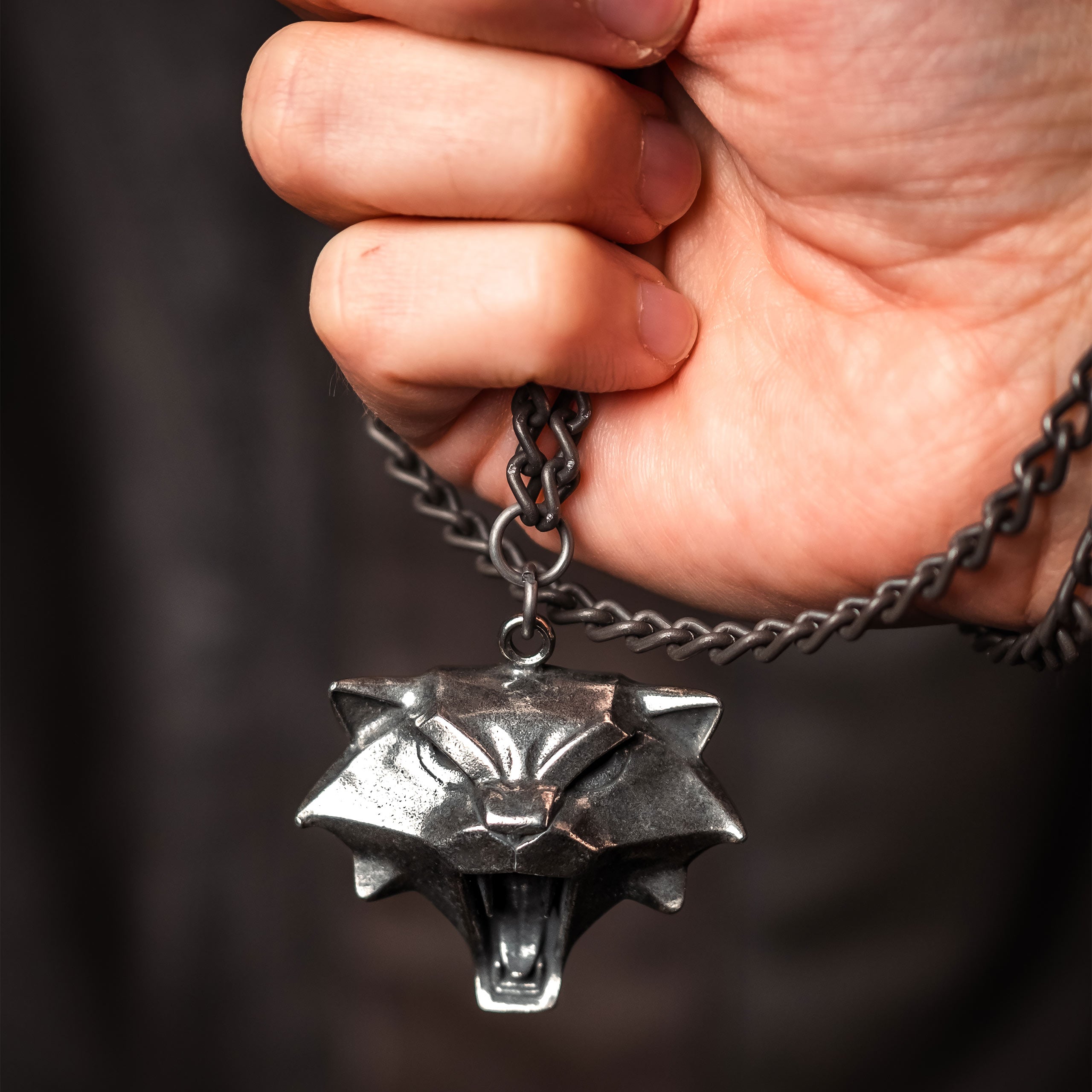 Productafbeelding Witcher - Cat School Medaillon Ketting