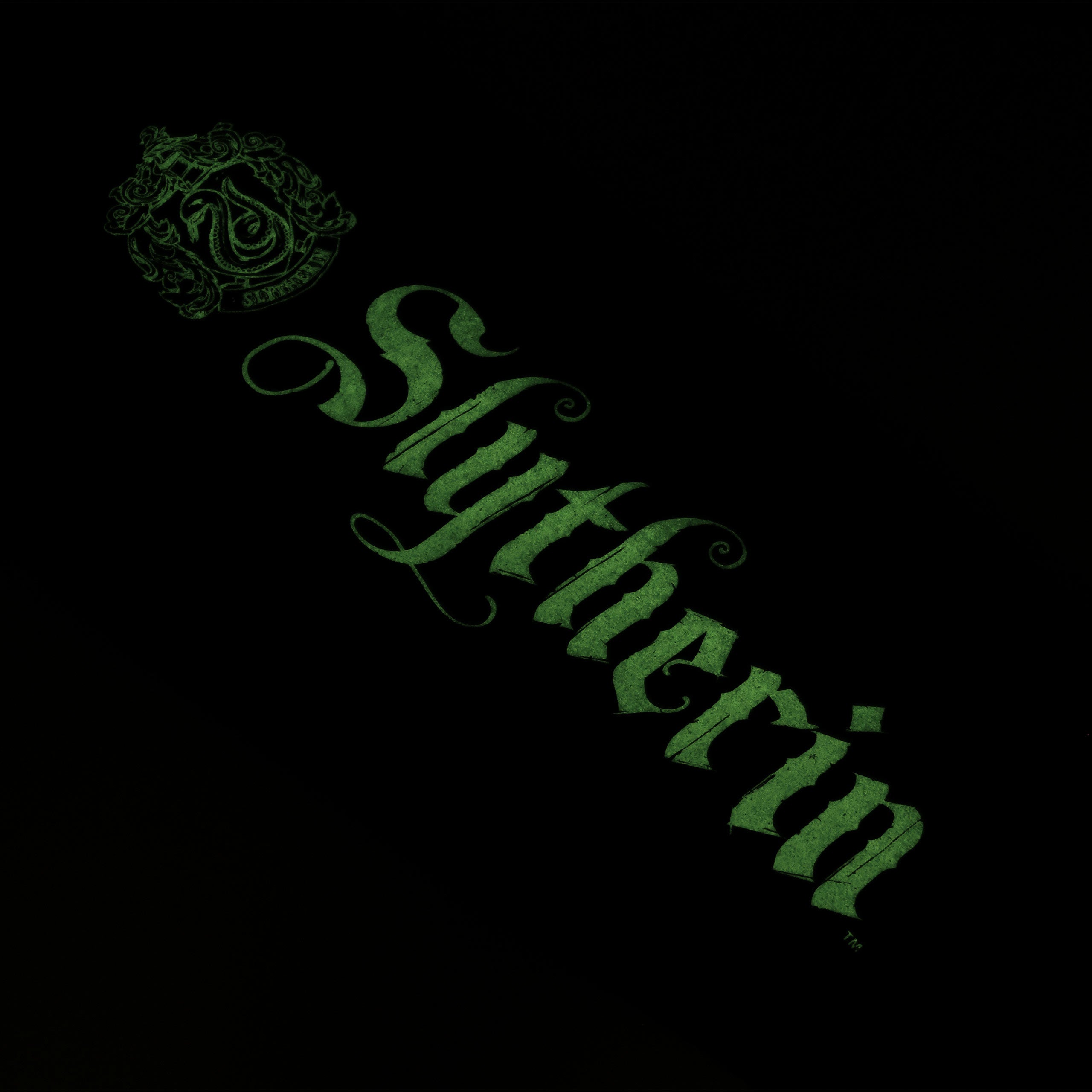 Product image Harry Potter - Slytherin Glow in the Dark Sweatpants black