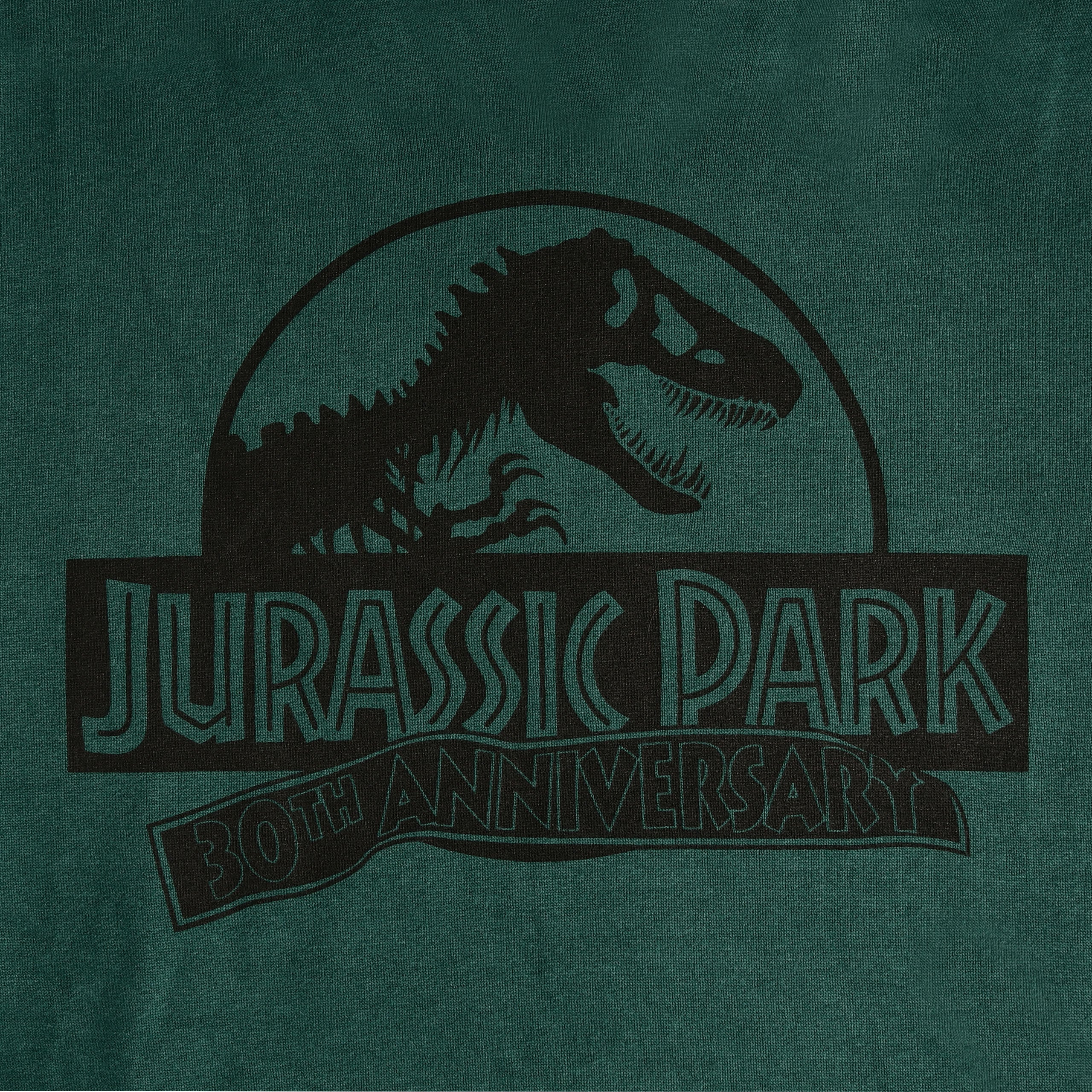 Productafbeelding Jurassic Park - Isla Nublar Hoodie Groen