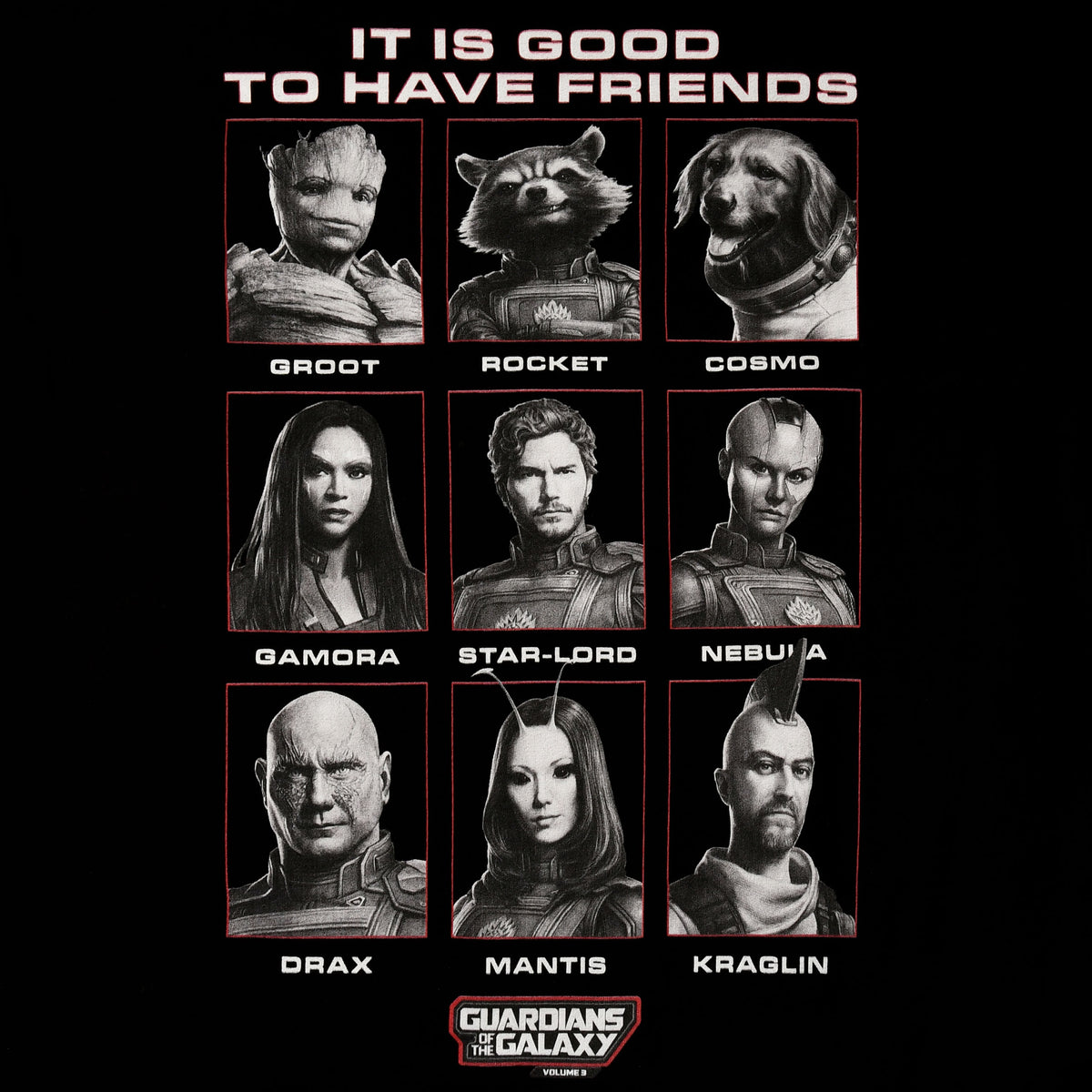 Product image Guardians of the Galaxy - Good Friends T-Shirt black