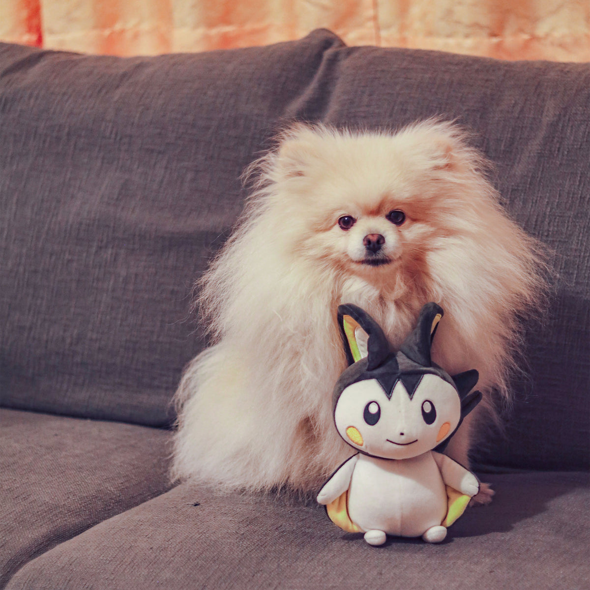 Productafbeelding Pokemon - Emolga Pluche Figuur
