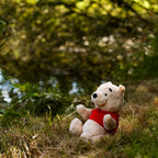 Productafbeelding Winnie de Poeh - Verzamelfiguur van Steiff