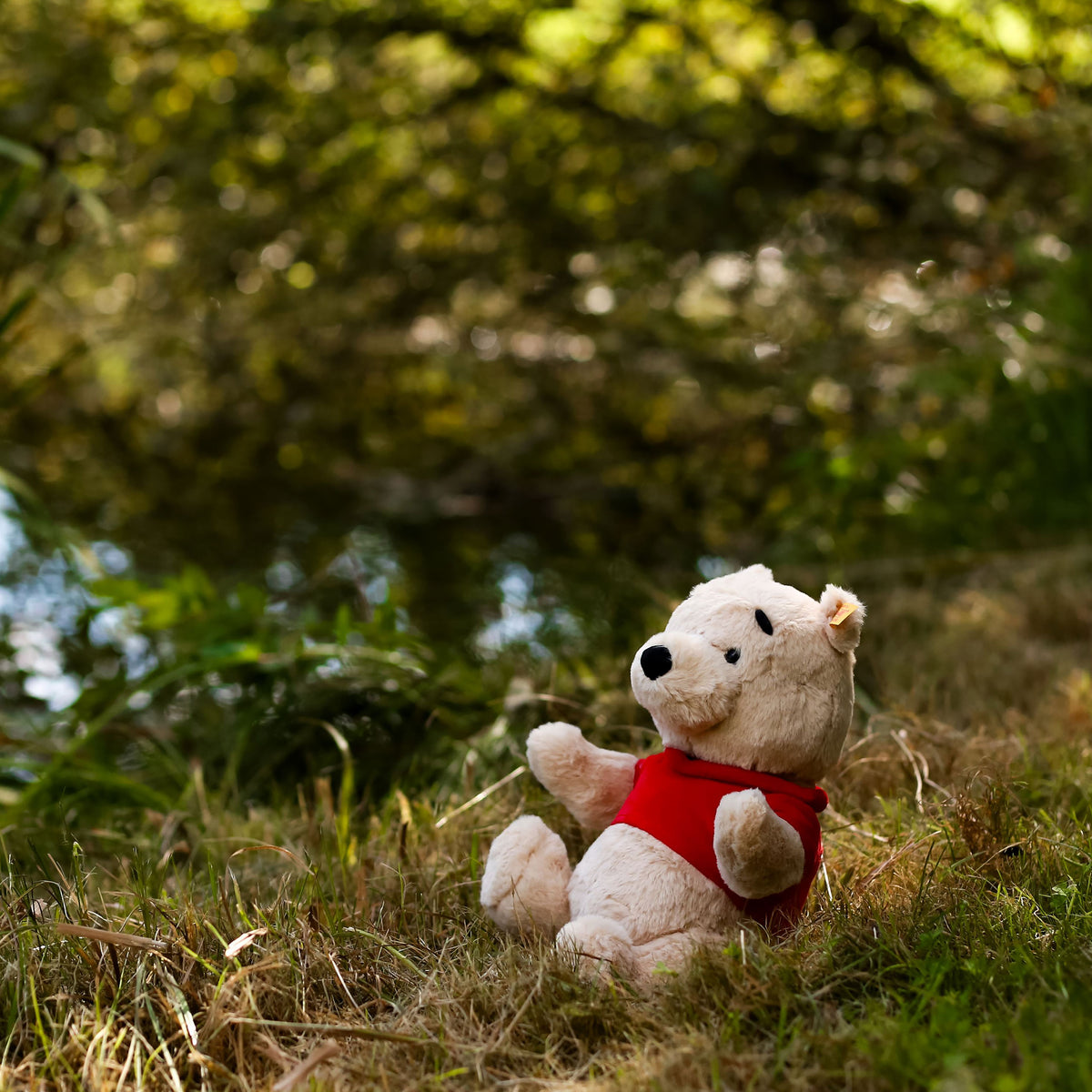 Productafbeelding Winnie de Poeh - Verzamelfiguur van Steiff